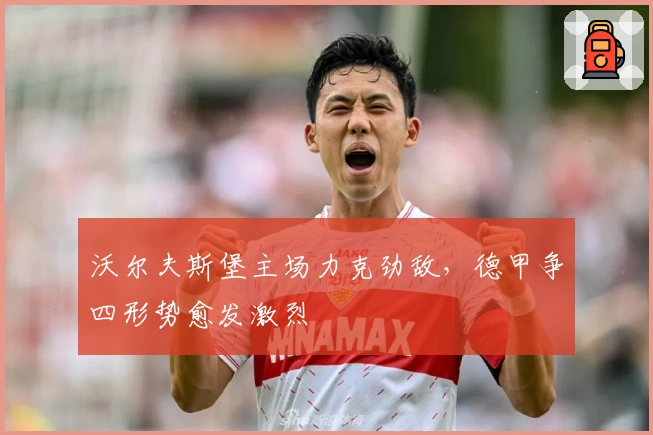 沃尔夫斯堡主场力克劲敌，德甲争四形势愈发激烈