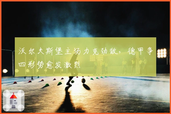 沃尔夫斯堡主场力克劲敌，德甲争四形势愈发激烈